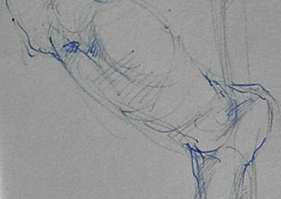 Entwurf eines Katzenporträts, Skizze mit Bleistift und blauer Farbe, künstlerische Darstellung einer Katze in Bewegung oder beim Spielen, hohe Detailgenauigkeit, kreative Tierkunst.