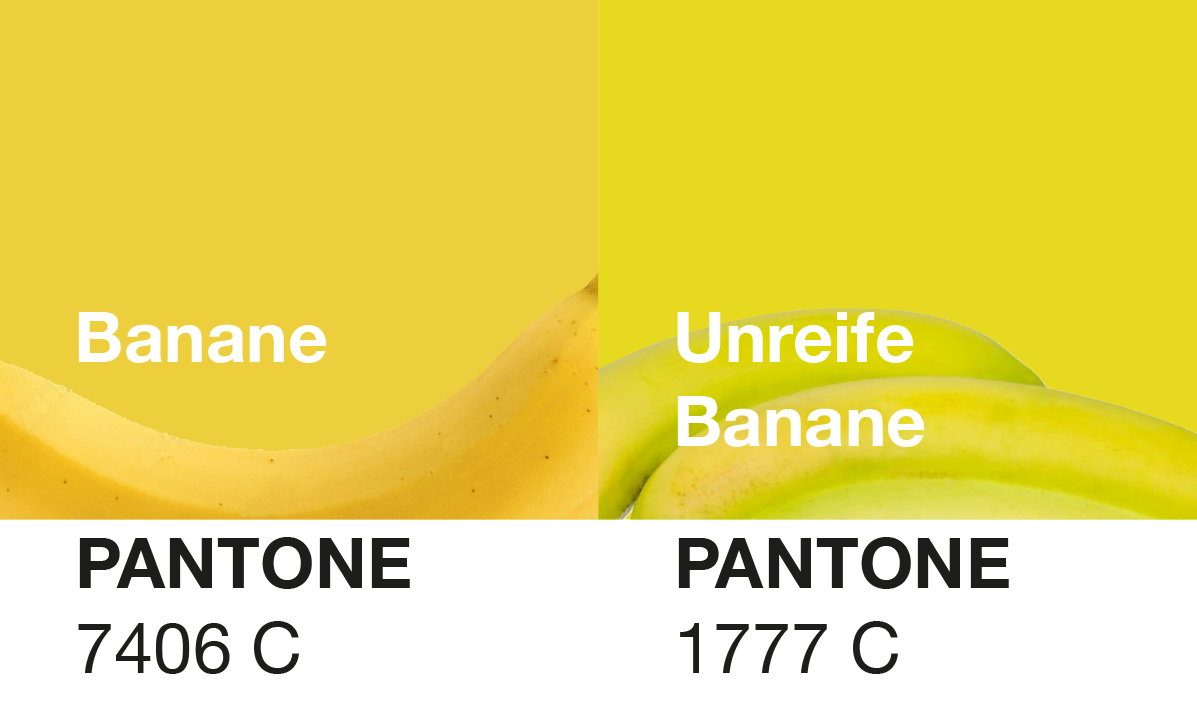 Lieblingsfarben – mehr als nur Geschmack 💛