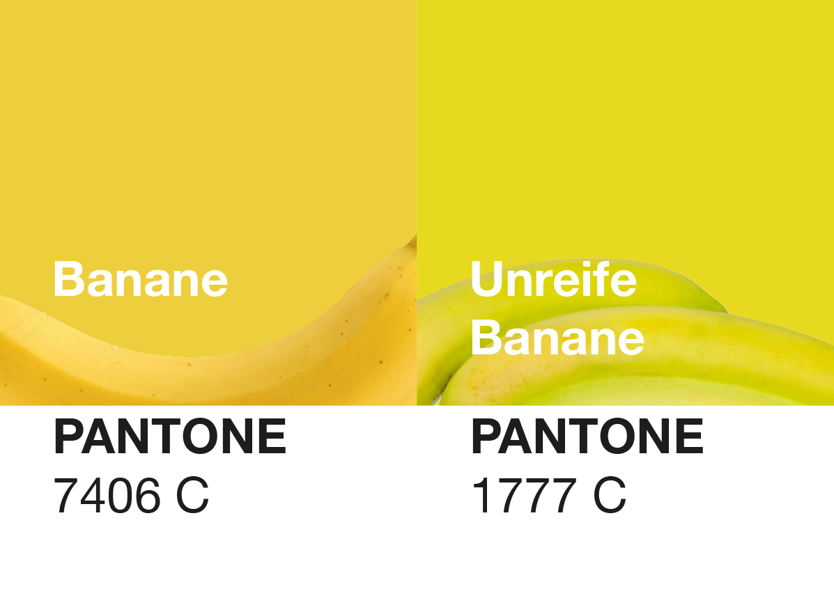 Lieblingsfarben – mehr als nur Geschmack 💛